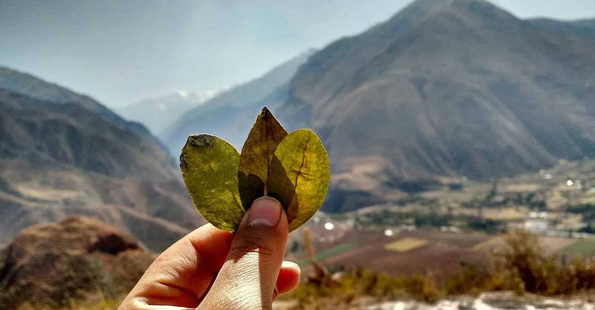 Daily Gratitude, Ancient Precision: What Modern Science Is Catching Up to in the Andean Kintu Prayer